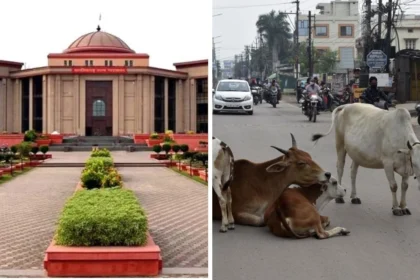 सड़क पर मवेशी छोड़ना पड़ा महंगा, टैग स्कैन कर मालिकों पर FIR