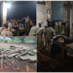 वन विभाग की बड़ी कार्रवाई: सिलहाटी में अवैध काष्ठ जप्त